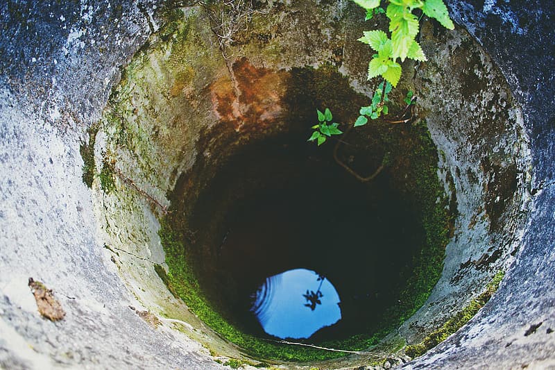 deep-well-with-green-vines